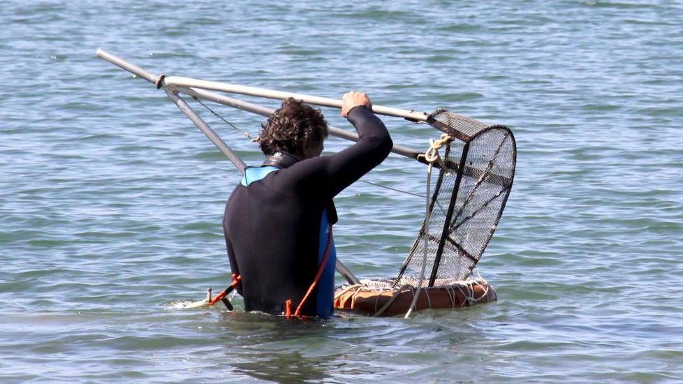 Viareggio, arselle in vendita anche se vietate