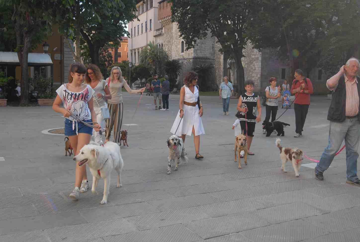 No ai cani in piazza D’Armi: palazzo civico non arretra 
