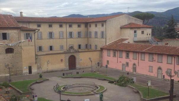Alessi: «Alberi pericolanti» Ma il M5S va all’attacco