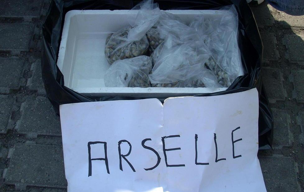 «Così tiriamo avanti dopo aver perso il lavoro» 