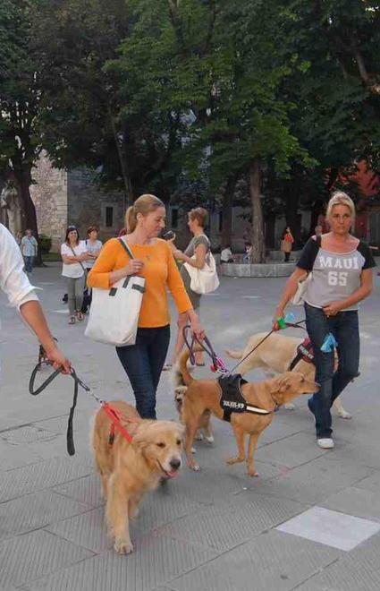 Cani in piazza D’Armi per protesta 
