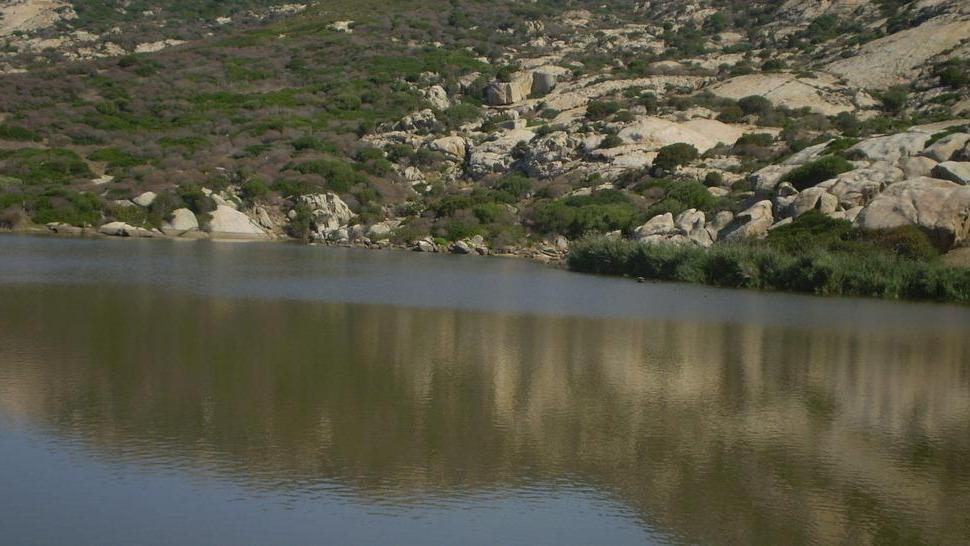 «Egas ed Abbanoa gestiscano il servizio idrico all’Asinara»