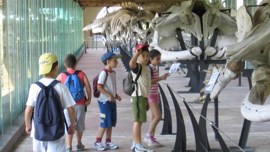 Sport e scienza insieme con i “Campi al Museo”