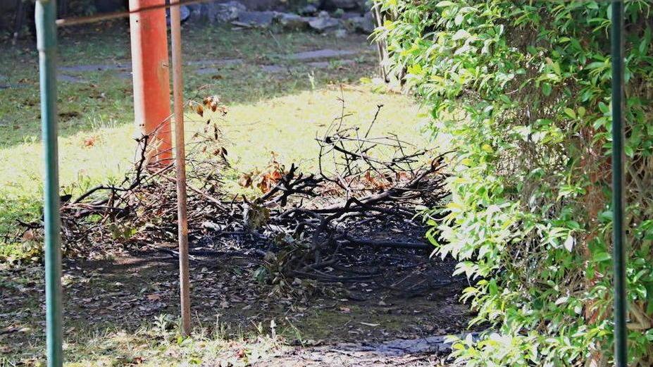 Gli arbusti dati alle fiamme nel giardino dell'abitazione della donna