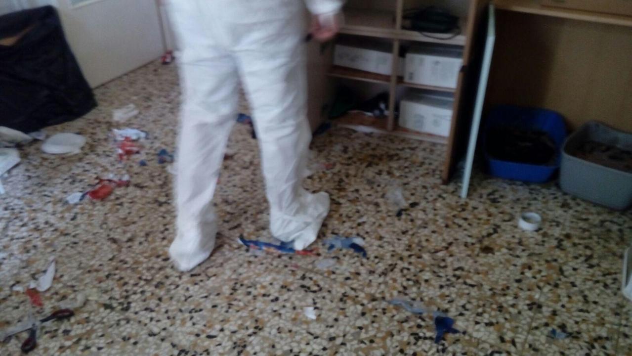 L'interno della casa dove è stato ritrovato il gatto morto