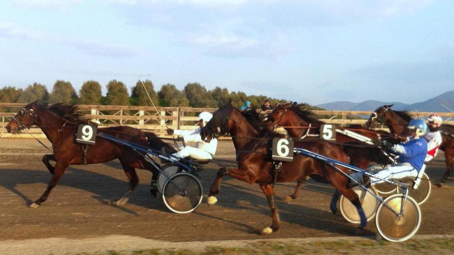 Ultima pomeridiana all’ippodromo dei Pini