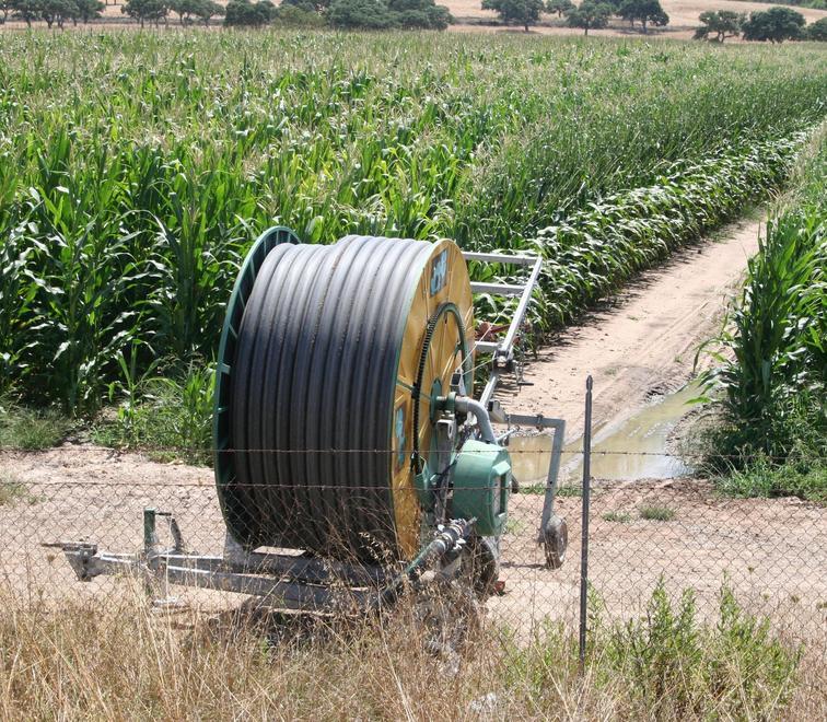 Perfugas, il Consorzio lascia a secco le aziende 