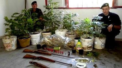 Droga e armi, arrestato un operaio 