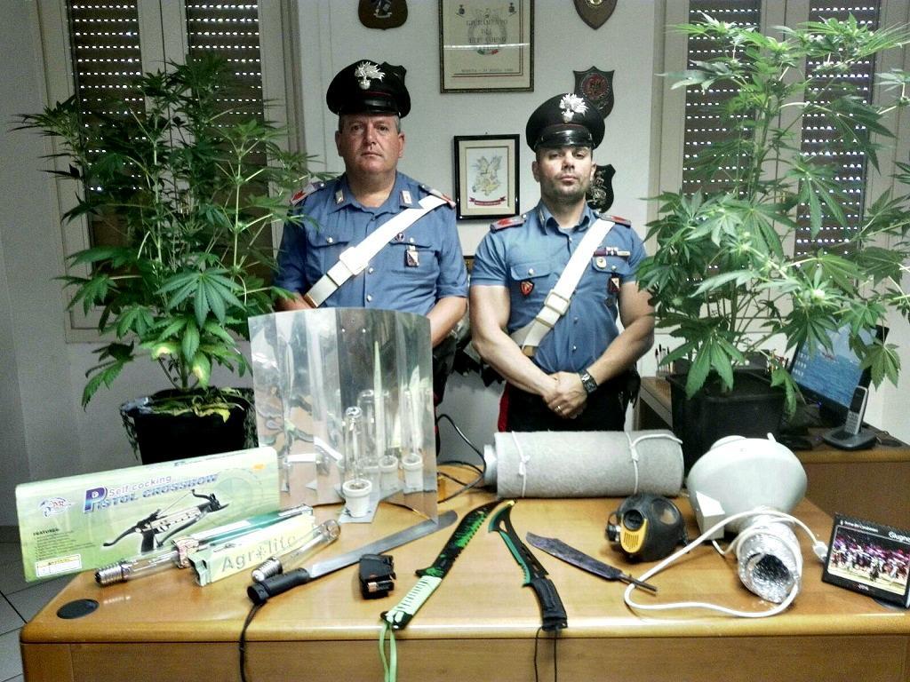 La droga, il taser e i machete sequestrati al disoccupato arrestato dai carabinieri a Monastir