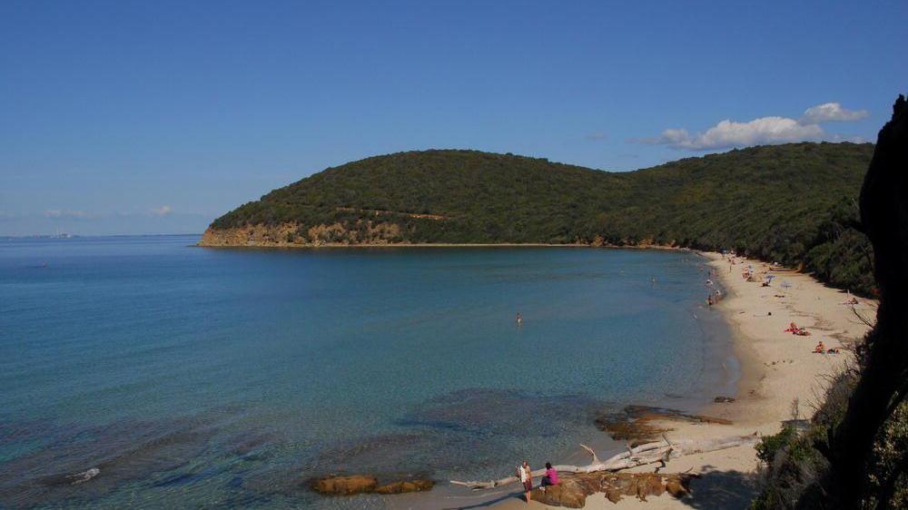 La spiaggia di Cala Violina
