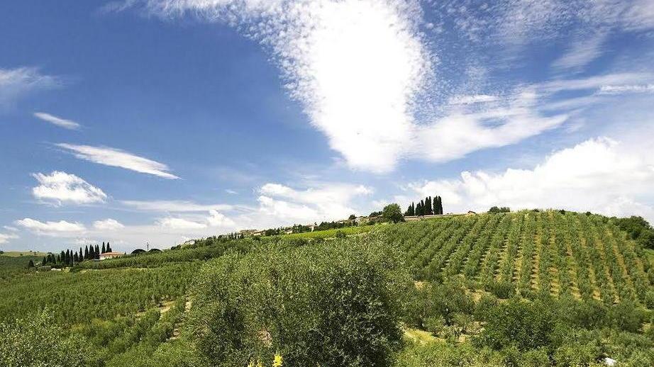 Dall’olio Franci schiaffo alla geotermia
