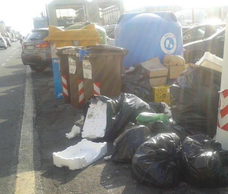 Nuova discarica in Darsena Servono più cassonetti