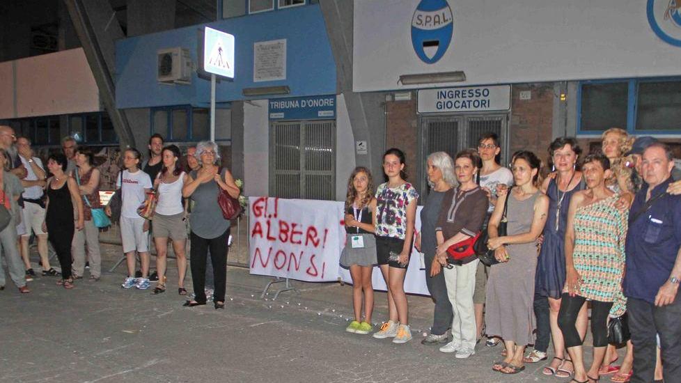 «Speriamo di salvare due alberi»