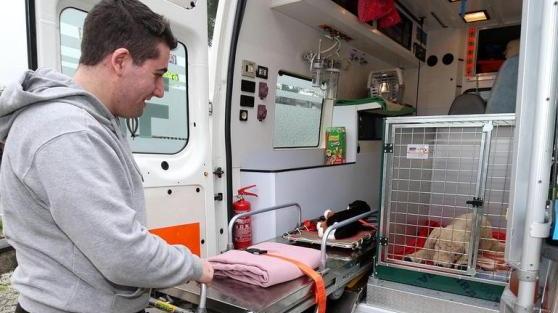 I soccorsi a un cane con un'ambulanza veterinaria (foto d'archivio)