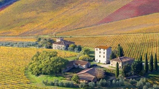 Un tipico paesaggio di coltivazioni toscane firmato da Fabio Muzzi