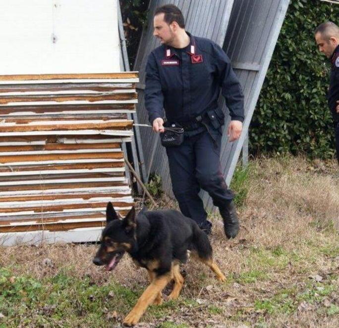Blitz dei carabinieri supportati dal cane spacciatori in fuga