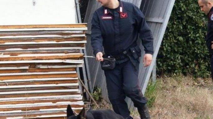 Blitz dei carabinieri supportati dal cane spacciatori in fuga