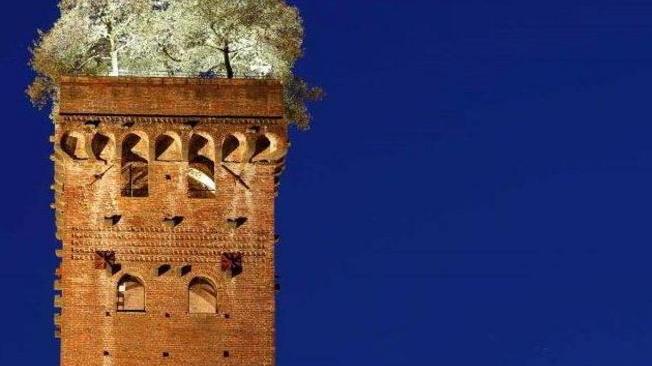 La magia di Lucca di notte in regalo per i nostri lettori