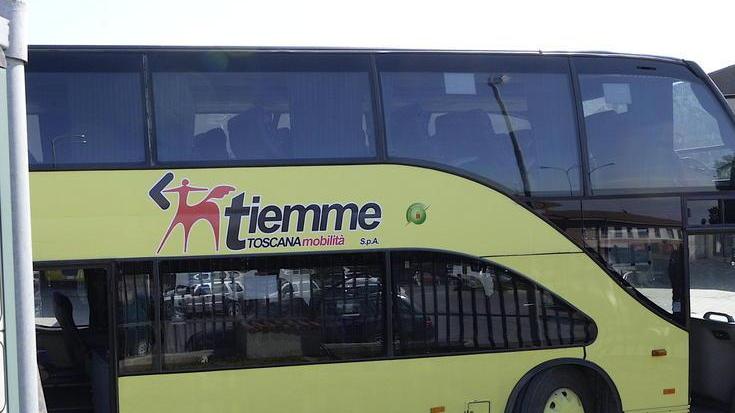 «Niente cani sul bus» Turisti ancora a piedi