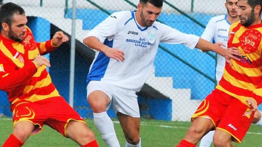 Palmas e Carboni i rinforzi del Latte Dolce