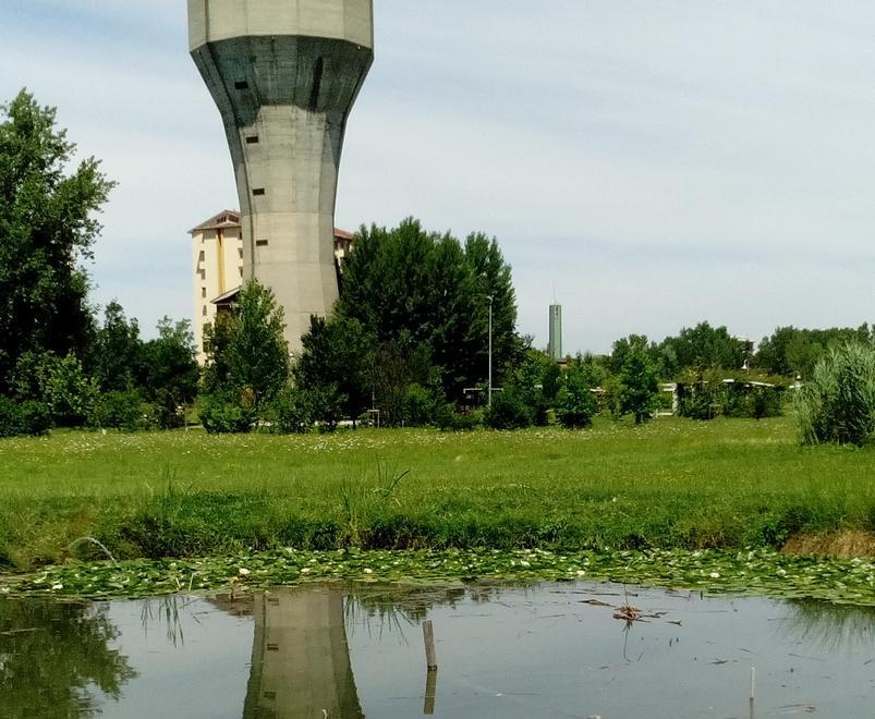 Sporco e siringhe al parco della Resistenza