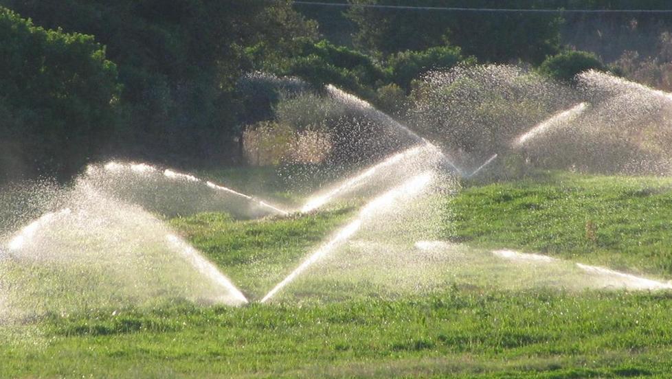 Campi all’asciutto a Perfugas, il Consorzio corre ai ripari 