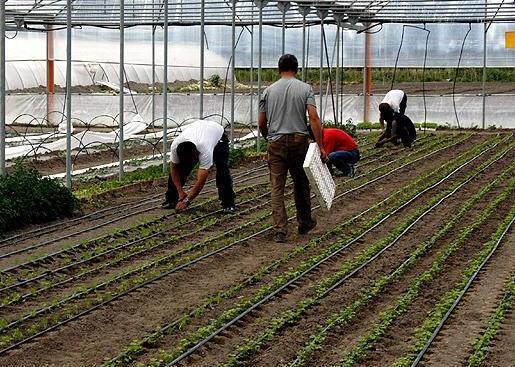 L’agricoltura cancella le disabilità 