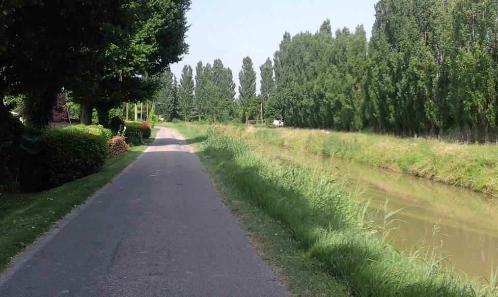Erba alta, i lavori di Area e Patrimonio