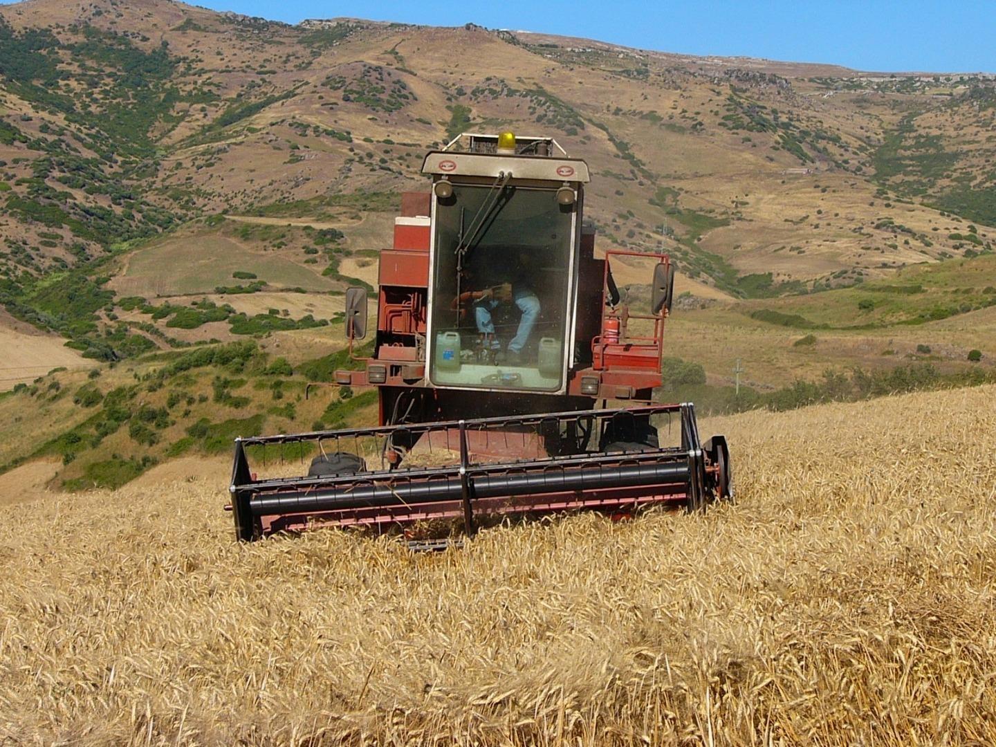 Siccità, dal ministero subito 38 milioni per le campagne della Sardegna 