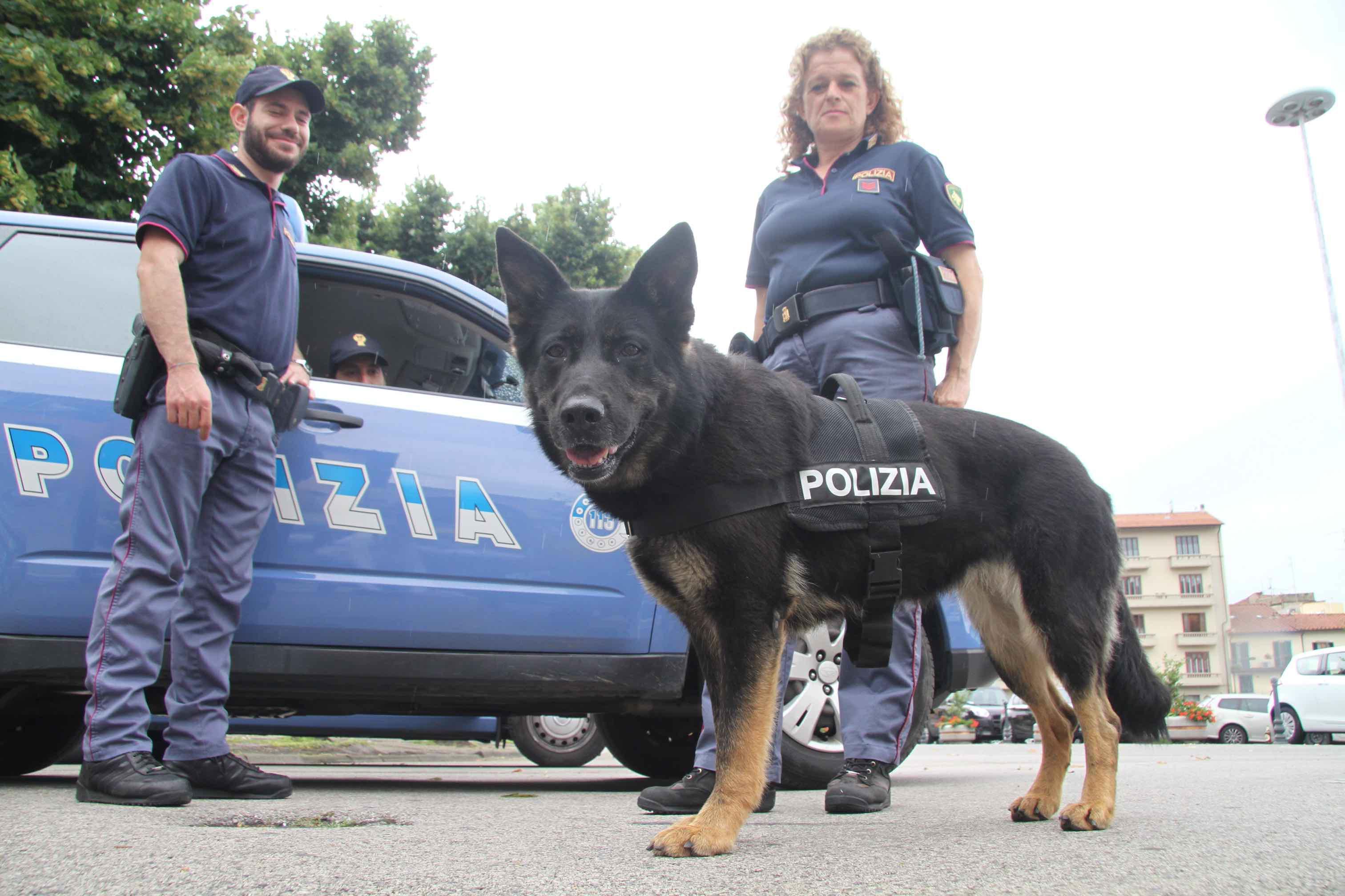 Una pattuglia di polizia