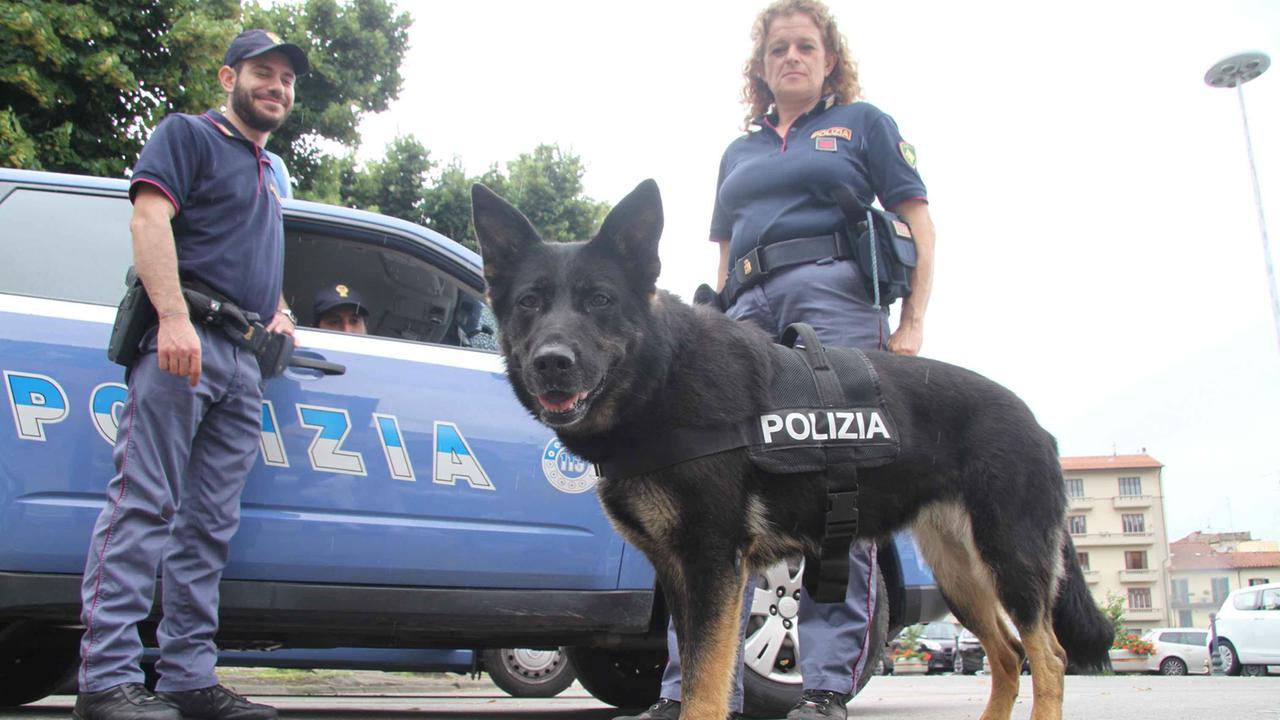 Una pattuglia di polizia