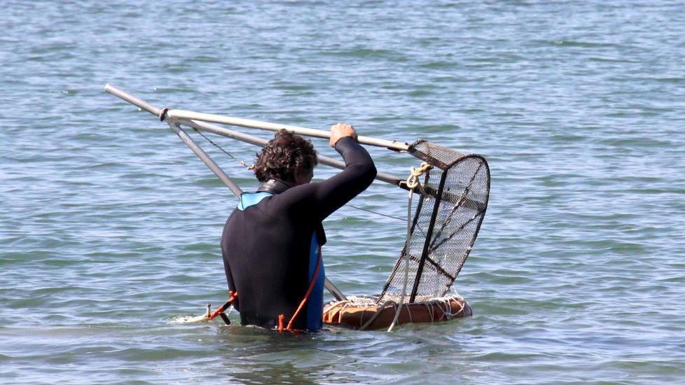Pesca alle arselle: divieto revocato a metà