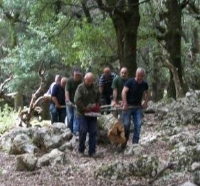 Forestas, la legge è stata corretta 