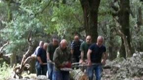 Forestas, la legge è stata corretta