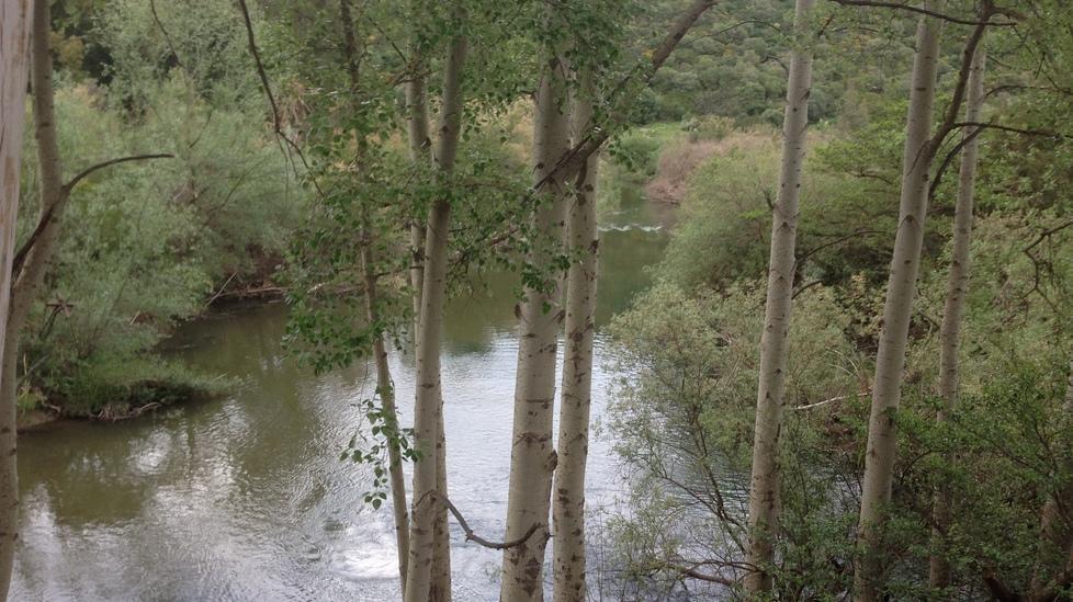 Oliena, sì alla tutela del sistema carsico di Su Gologone