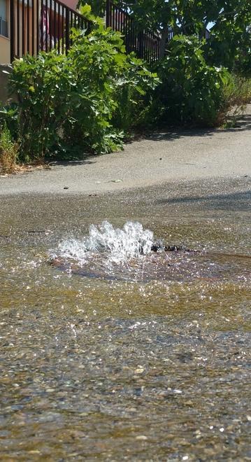 Siniscola, il sindaco denuncia Abbanoa «Acqua non potabile» 