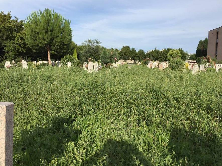 Proteste per l’erba alta: «Ricopre le lapidi» 