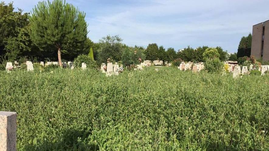 Proteste per l’erba alta: «Ricopre le lapidi»