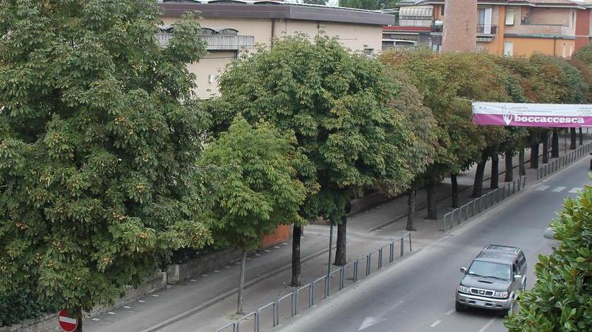 Controllo delle targhe contro ladri e rapinatori