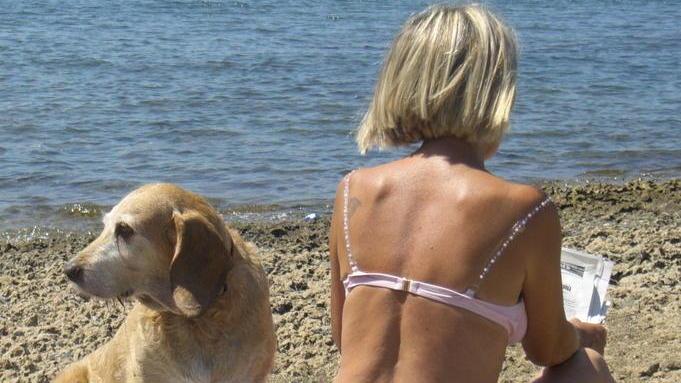 Anche lui sotto l’ombrellone Ecco dove