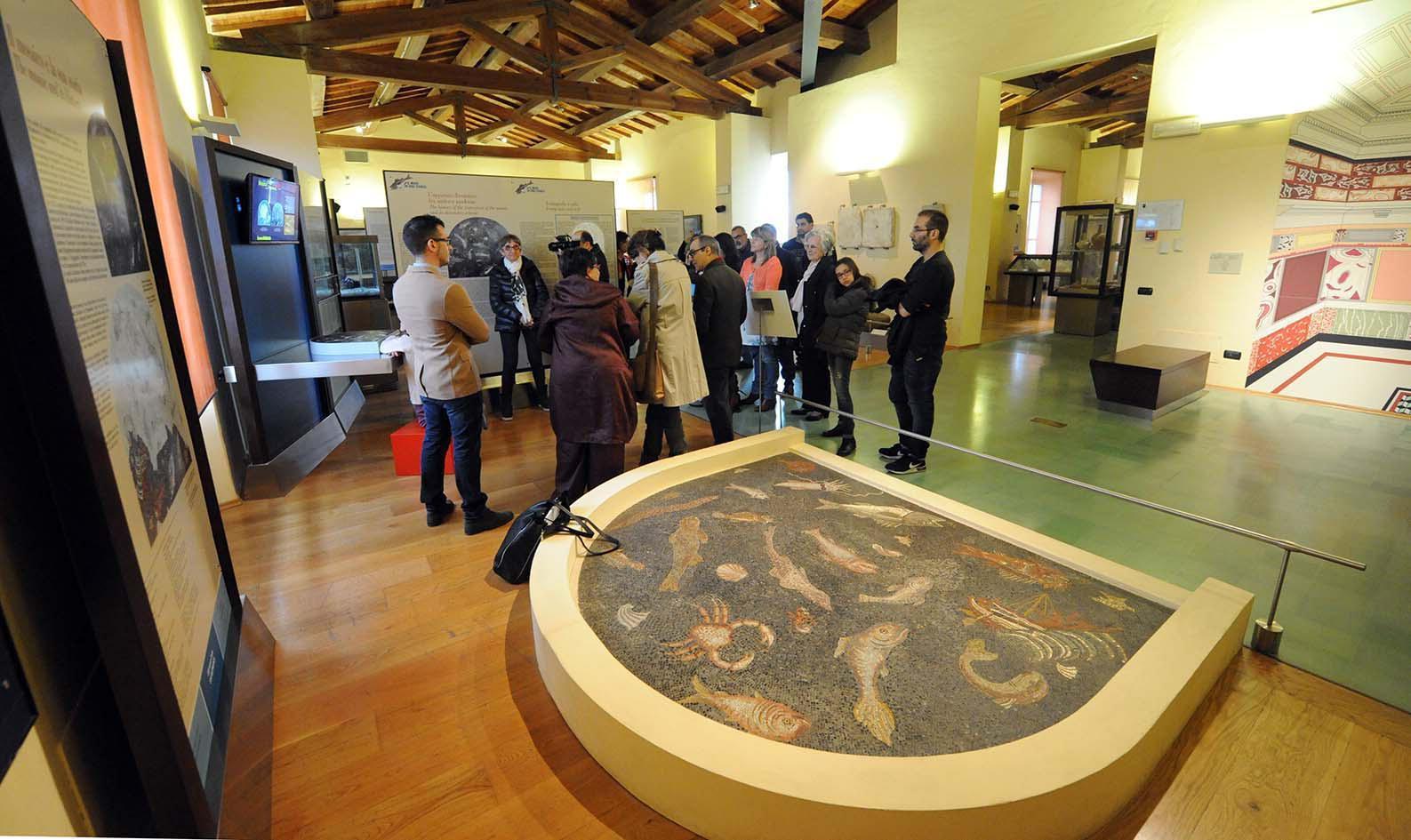 Un'immagine del museo archeologico del territorio di Populonia (foto Paolo Barlettani)