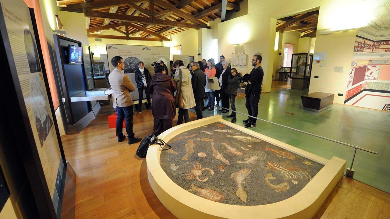 Un'immagine del museo archeologico del territorio di Populonia (foto Paolo Barlettani)