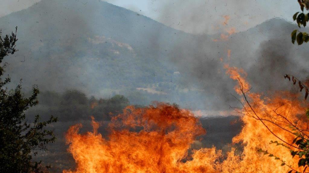 L'incendio in località Le Case di Scarlino (Foto Giancarlo Grassi)