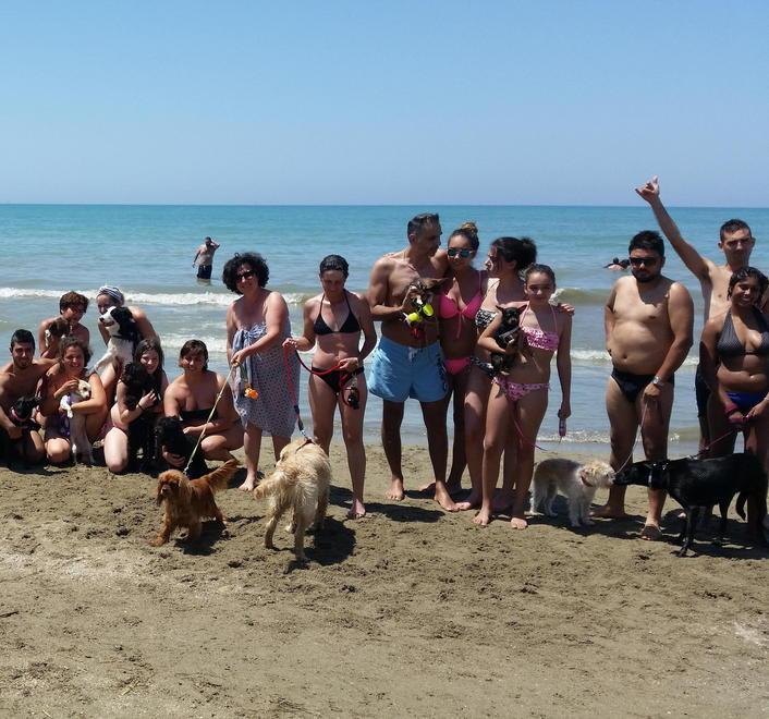 In spiaggia con Fido, premiato il bagno attrezzato per i cani 