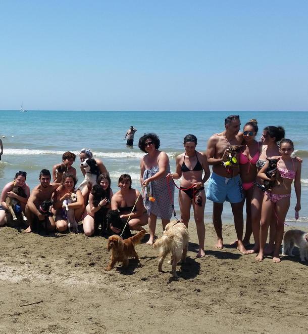 Premiato il bagno attrezzato per cani 