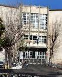 Armi e droga in mezzo alla legna, orunesi a processo