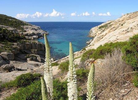 Panorama dall'isola di Montecristo 
