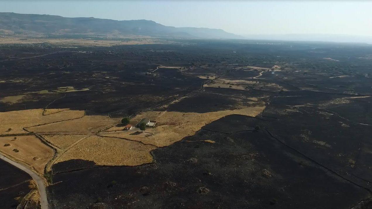 I terreni devastati dalle fiamme