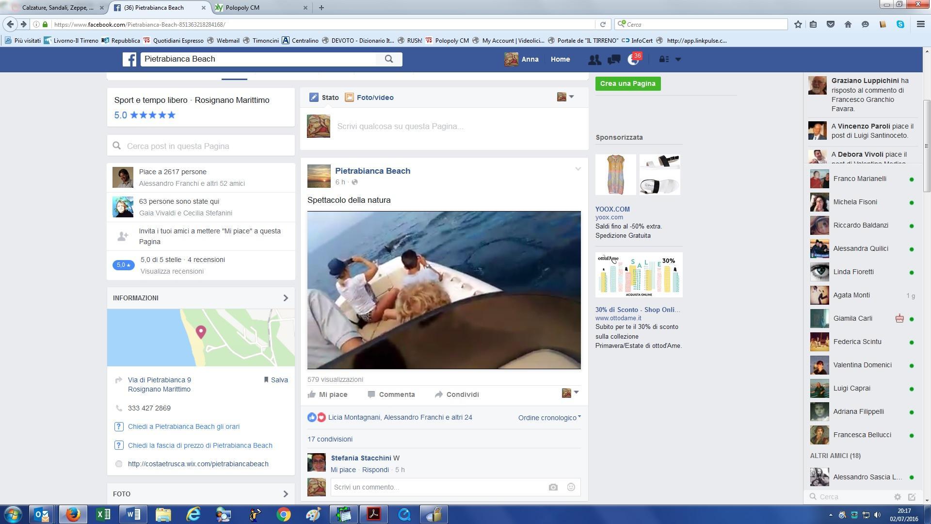 L'avvistamento dei delfini (foto dalla pagina Fb di Pietrabianca Beach)