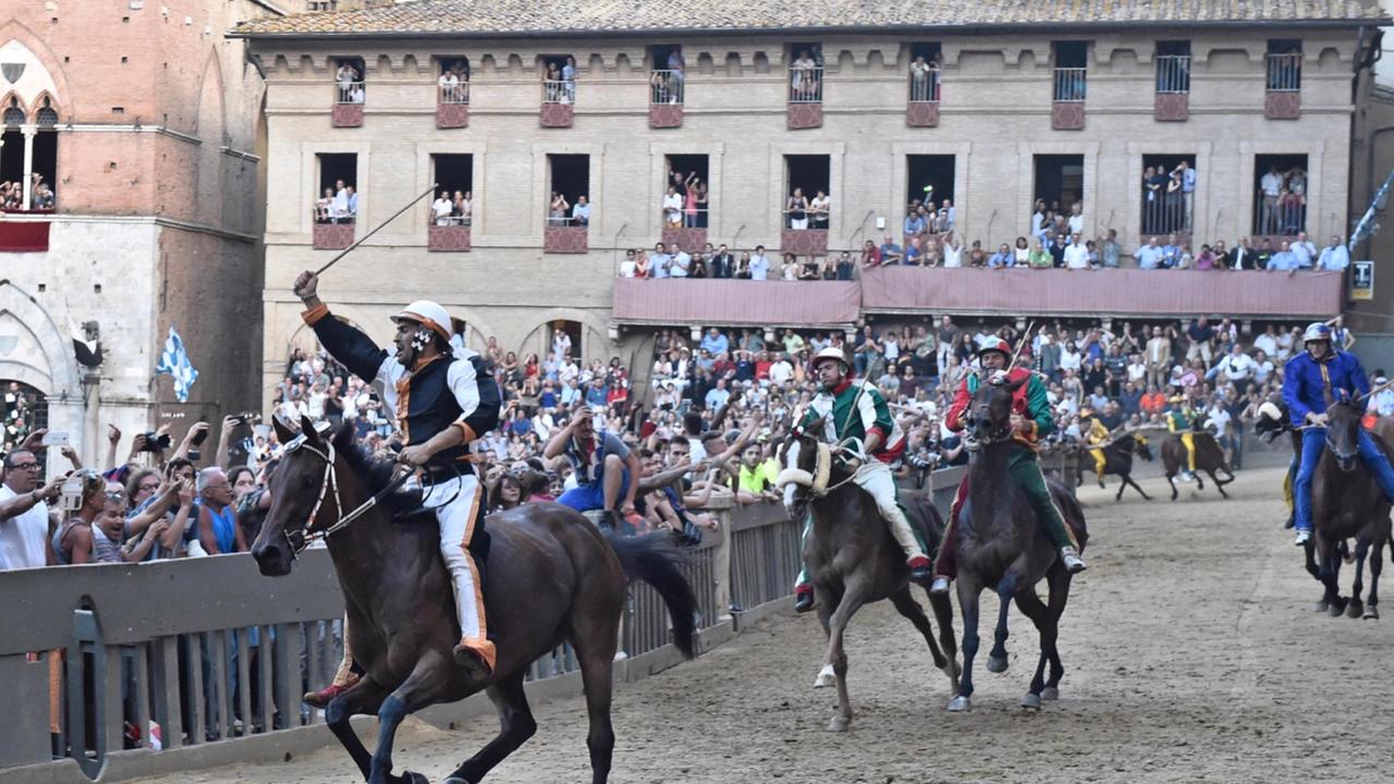 Palio di Siena, “Scompiglio” fa tris